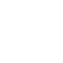 20FF-Icon-20-days